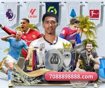 博鱼体育官网 APP 界面(BOYU Sports)
